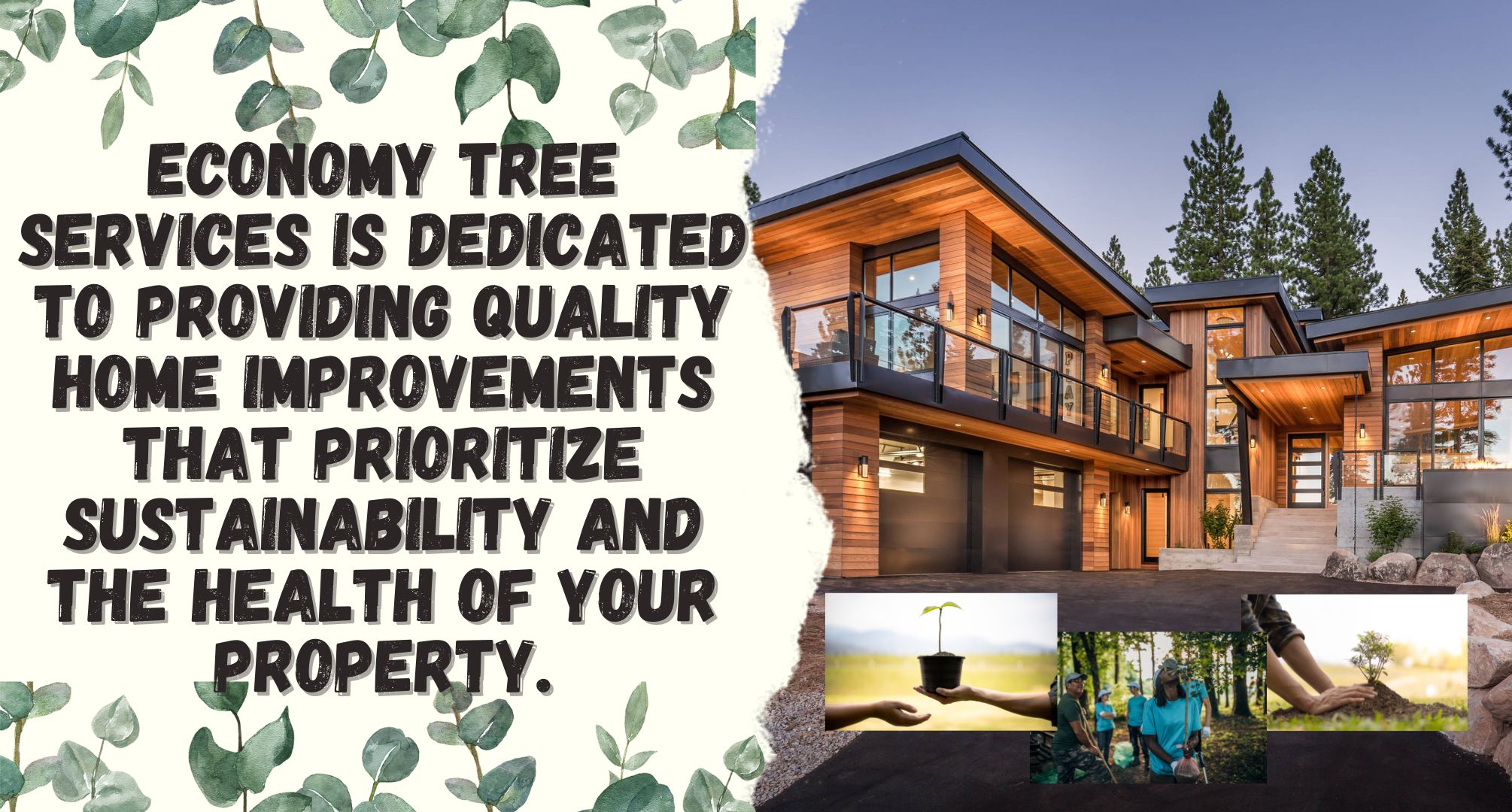 Experience Quality and Environmentally-Friendly Home Improvements with Economy Tree Services